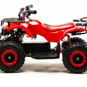 Квадроцикл (игрушка) ATV E009 1000Вт красный