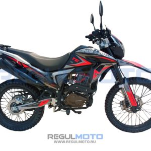 Мотоцикл Regulmoto TE 4 valve oil с ПТС