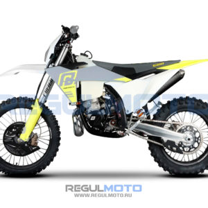 Мотоцикл Regulmoto NIBBI TE N300-SR 2T